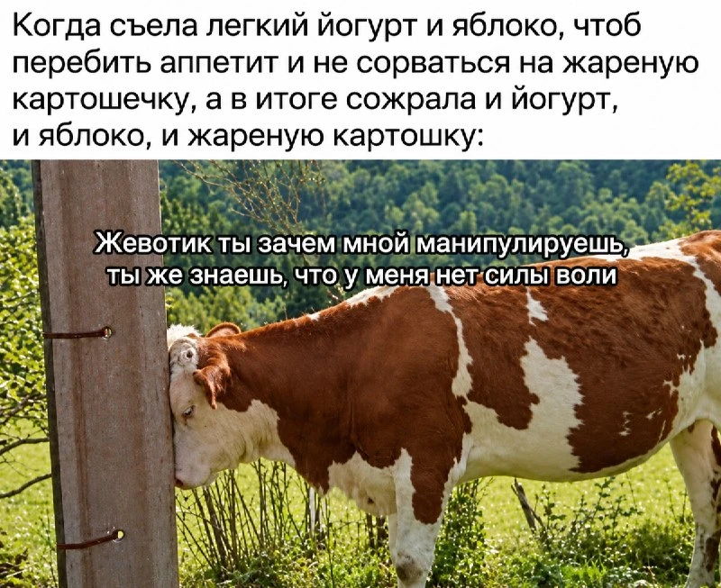 ✨ А мама говорила, что нельзя перебивать аппетит