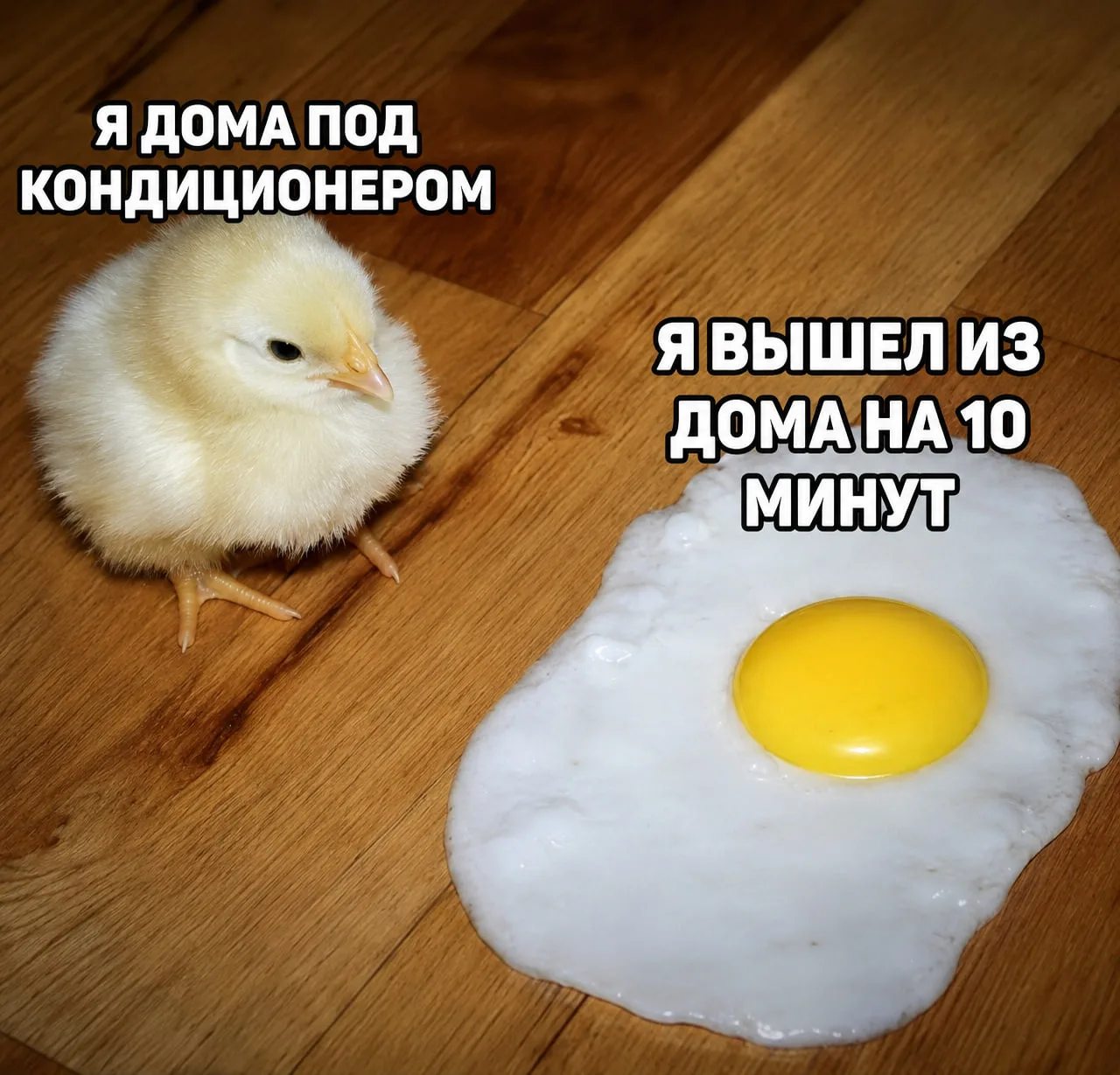 Погода плавит регион 🥵🌡   Сразу в пяти городах Тверской области побиты температурные рекорды. Главны