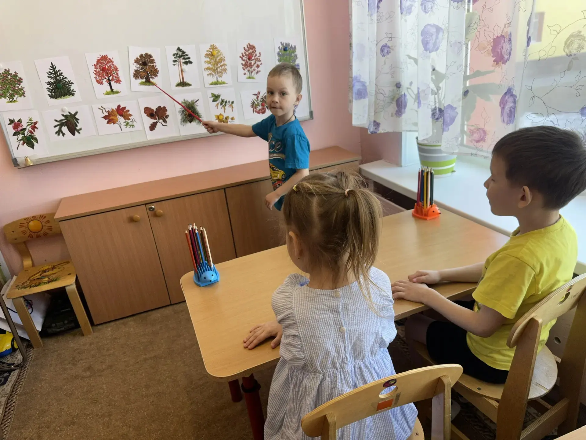 На занятии по формированию целостной картины мира в старшей группе на тему «Деревья и к...