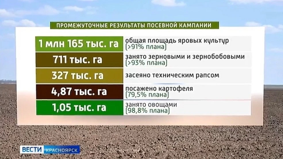 Посевная в Красноярском крае вышла на финишную прямую

Аграрии региона засеяли яровыми культурами бо