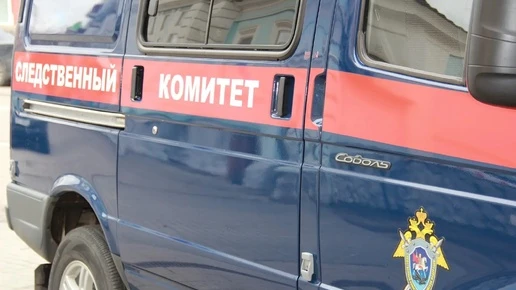 «Ребенок жил в разных квартирах в антисанитарии и с посторонними»: в Красноярске будут ...