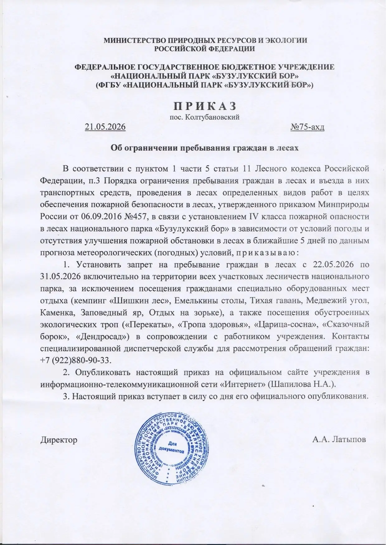 Друзья,