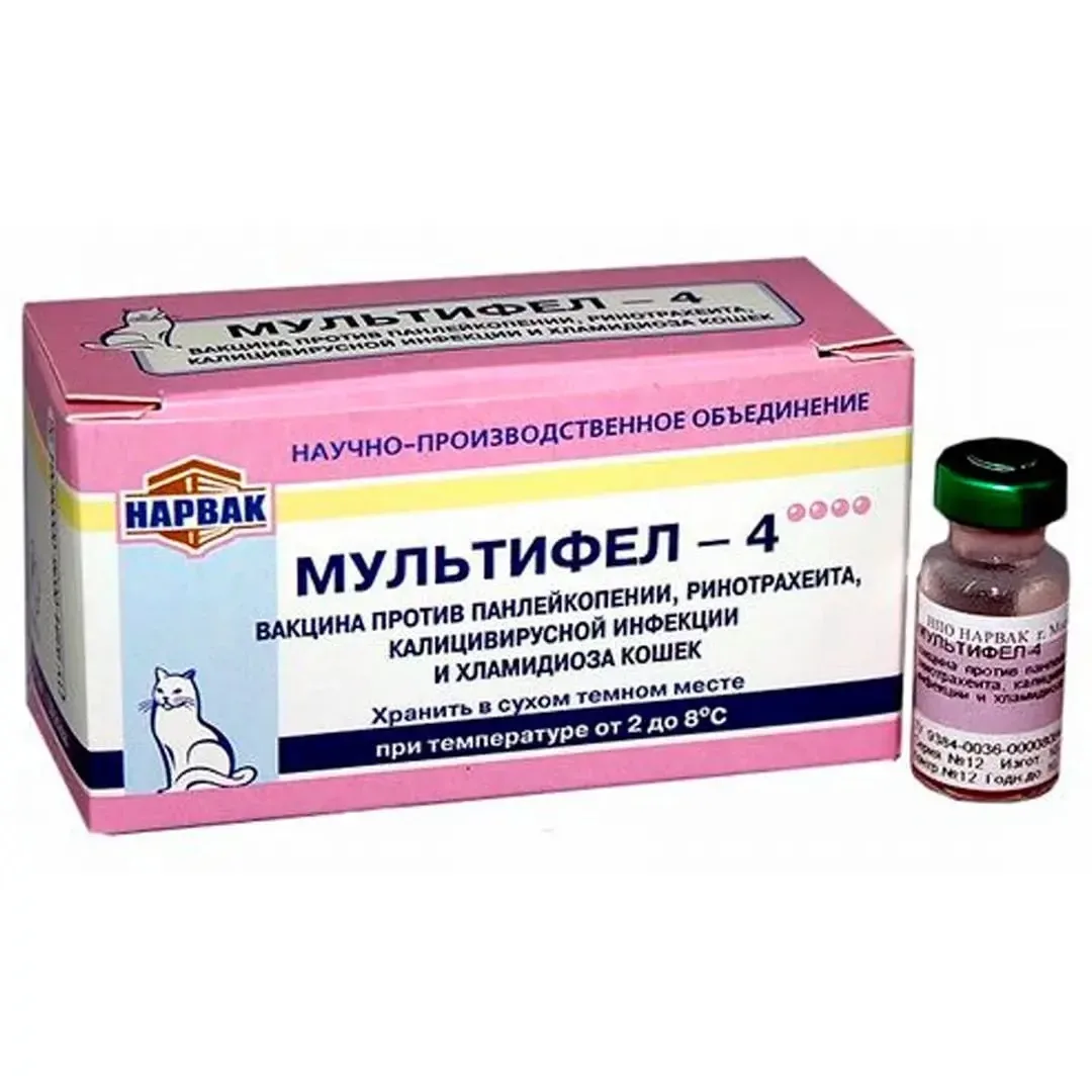 ‼️ На российскую вакцину «Мультифел» массово жалуются владельцы кошек — СМИ сообщают о ...