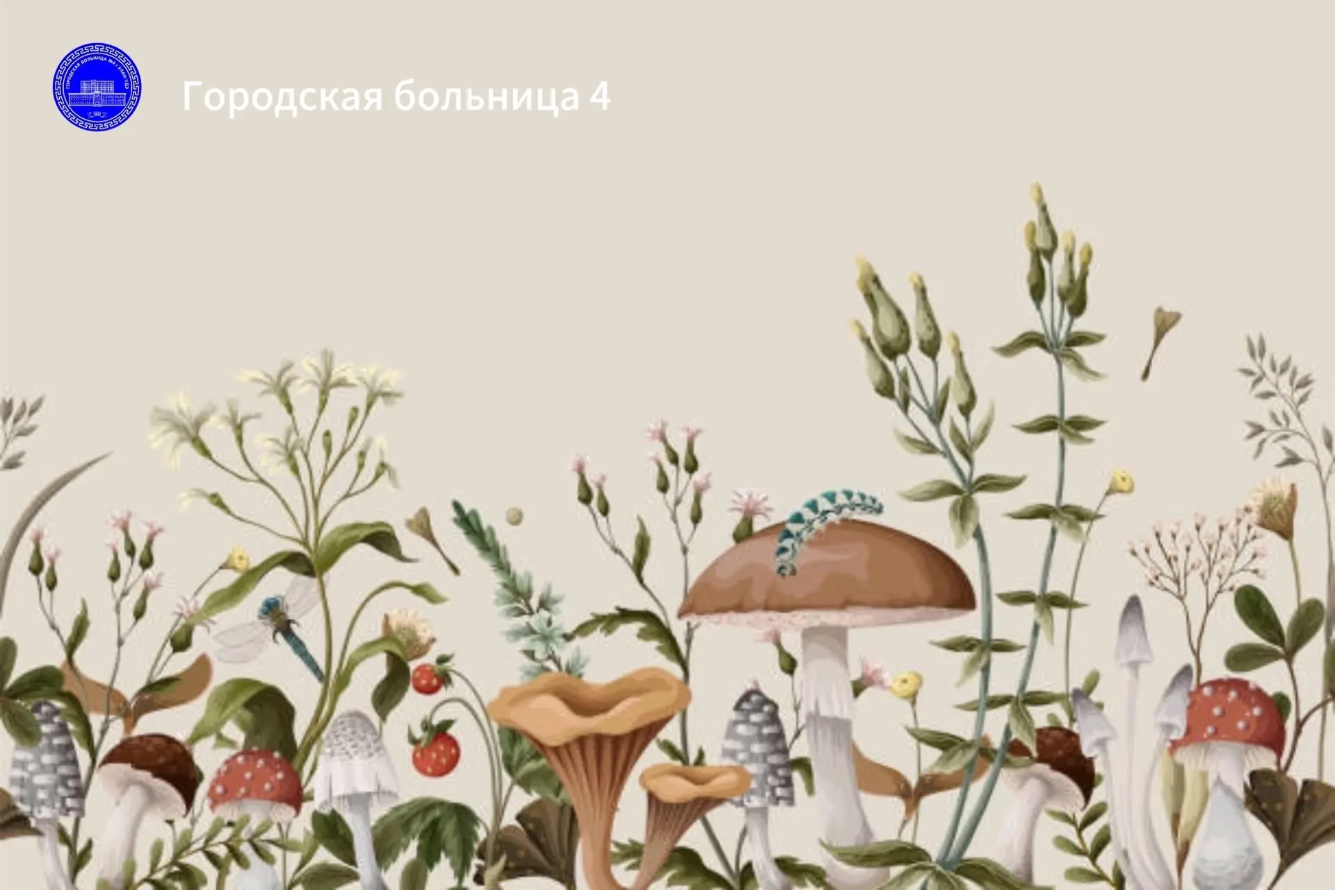 🍄‍🟫🍄‍🟫В Бурятии стартовал сезон «тихой охоты» 🍄‍🟫🍄‍🟫