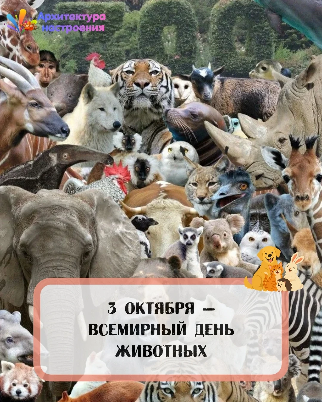 3 октября 🐾 Всемирный день животных