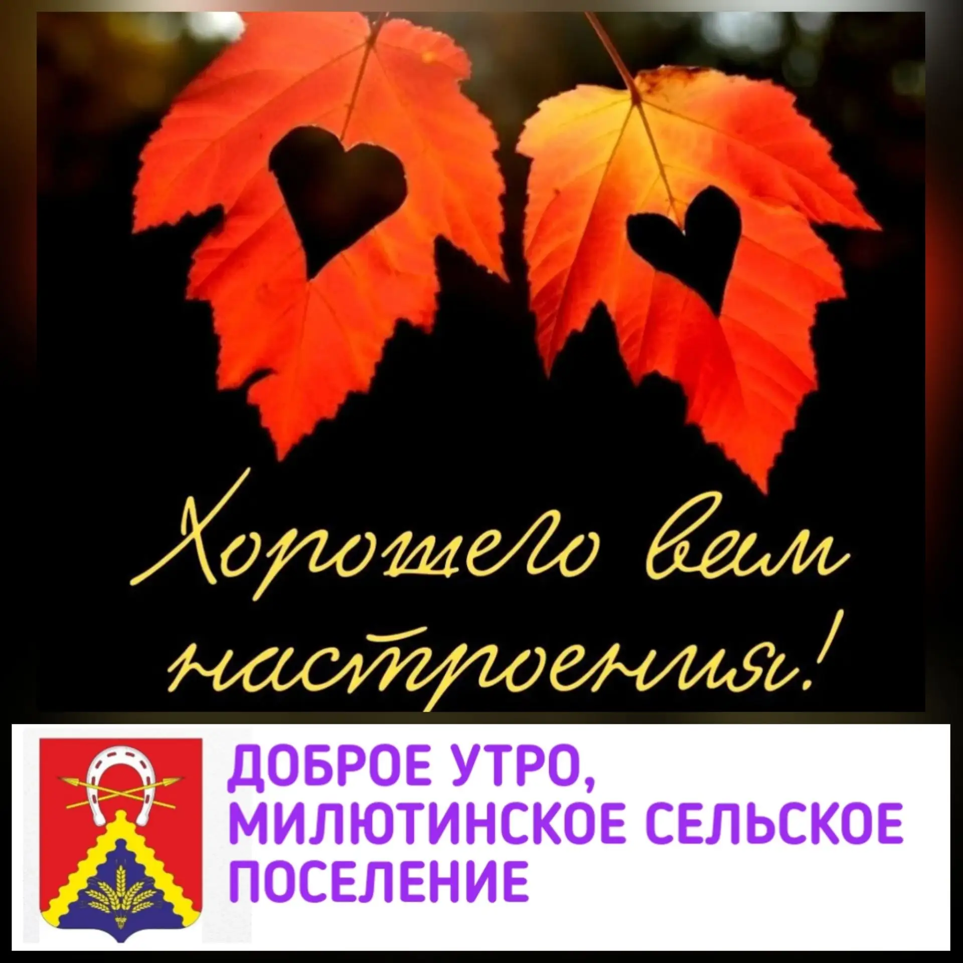 🌤️ПУСТЬ СЕНТЯБРЬСКОЕ ТЕПЛО СОГРЕВАЕТ ВАС СЕГОДНЯ С САМОГО УТРА.🌅