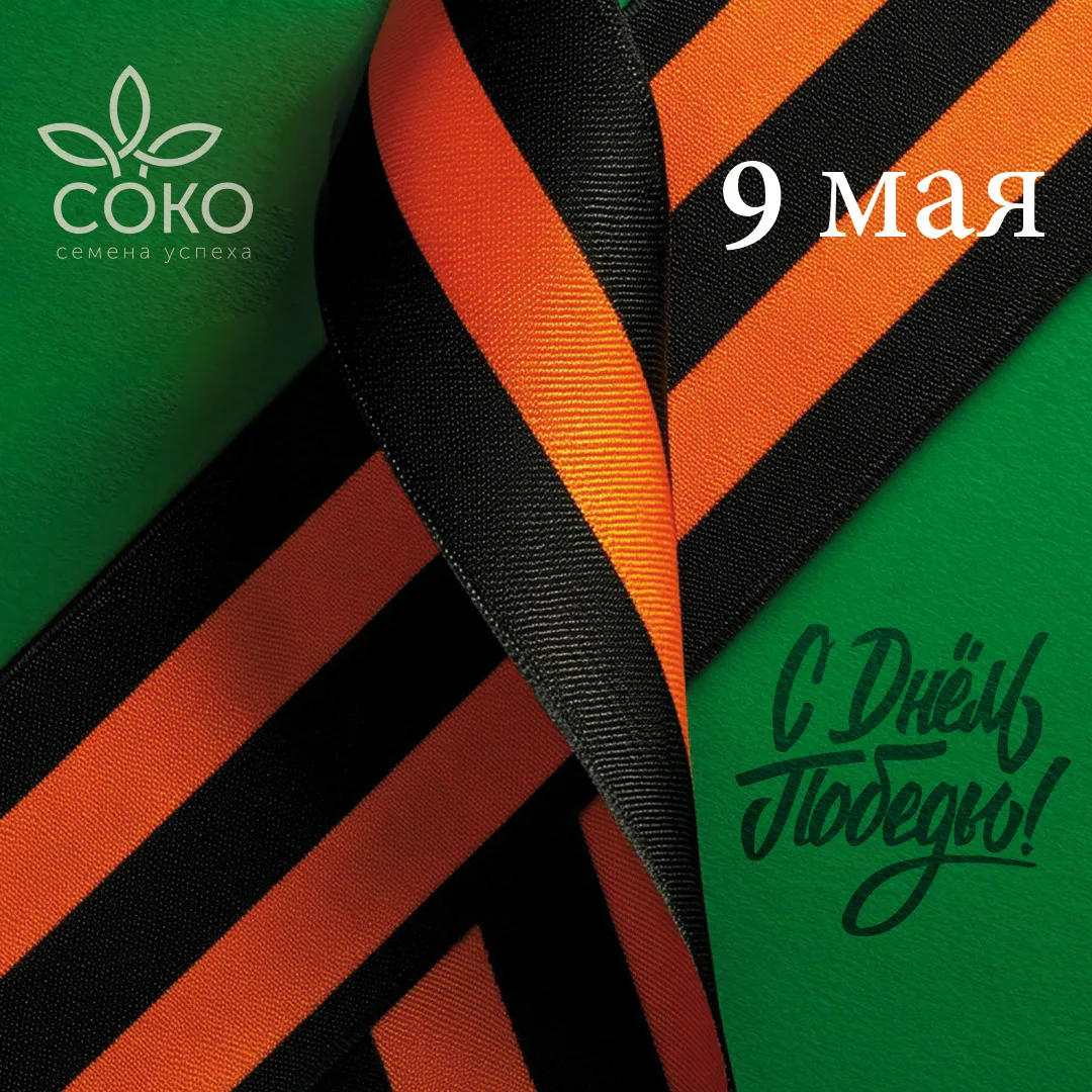 🌟С Днем Великой Победы, с 9 Мая!