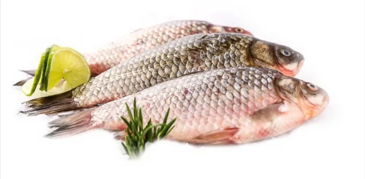 🐟✨ Классика речного улова! Лещ НСГ (свежемороженый) в Щёлково! 🍽️🌿