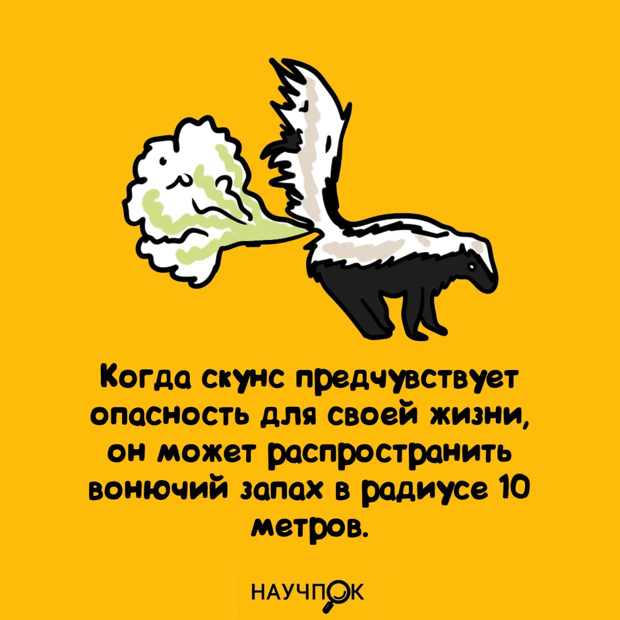 Научпок | Подписаться