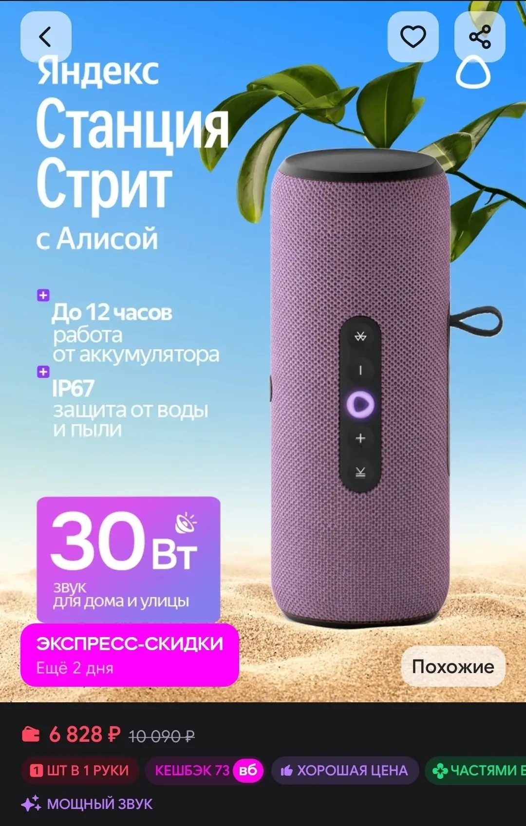 Умная портативная колонка Станция Стрит с Алисой Яндекс