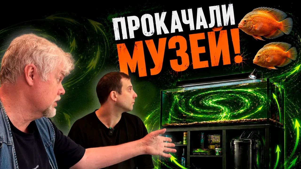 🌀 Аквариумные истории из ЭКЗОМЕНЮ (05.06.2026). Как отфильтровать аквариум на 700 литров?