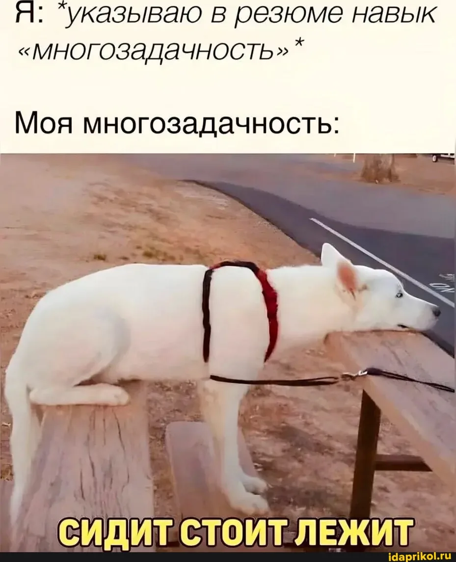 Почему многозадачности не существует

Умение работать в режиме многозадачности у нас принято считать