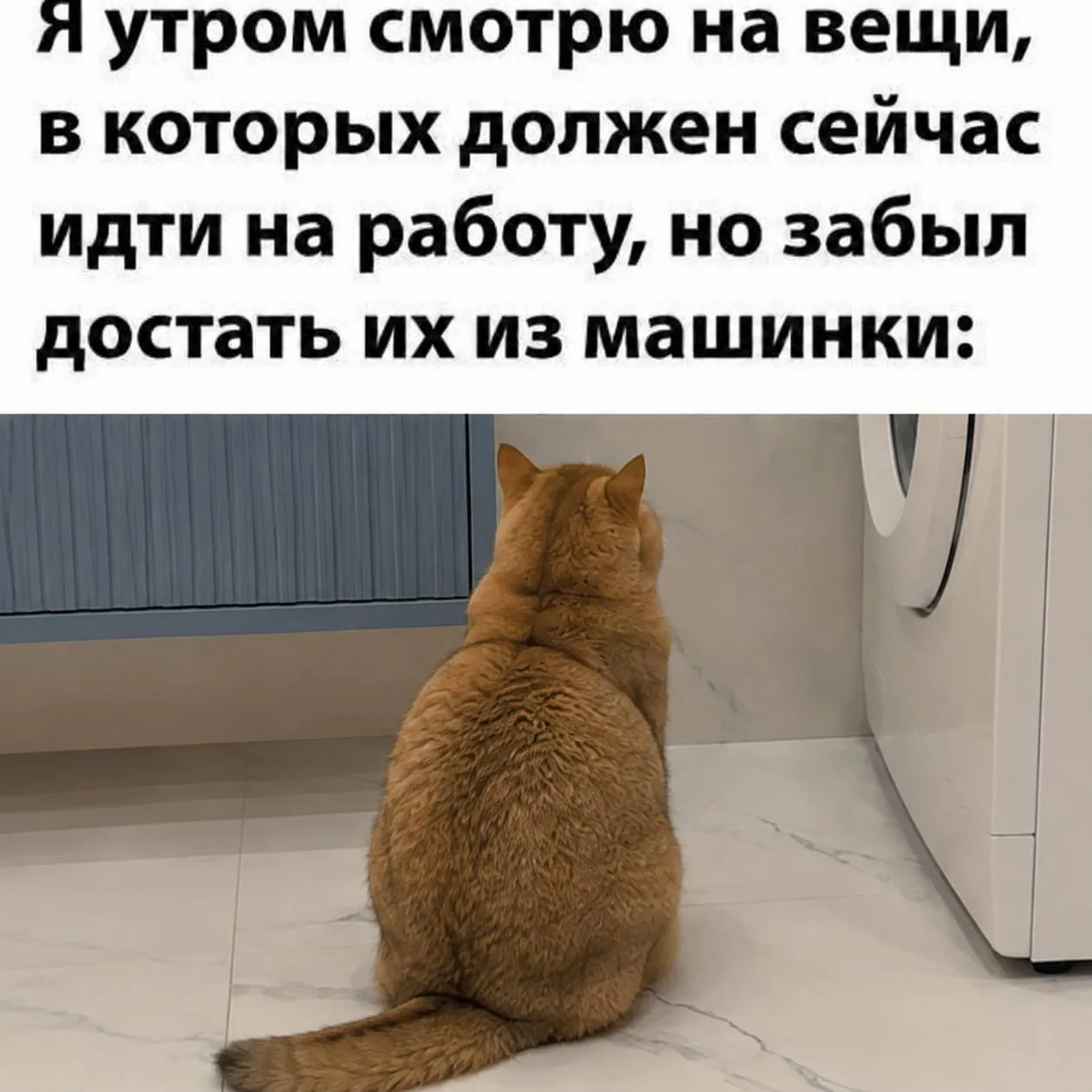В такие моменты надо говорить уверено — да, было! 😂🙈