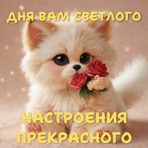 Больше открыток тут👇