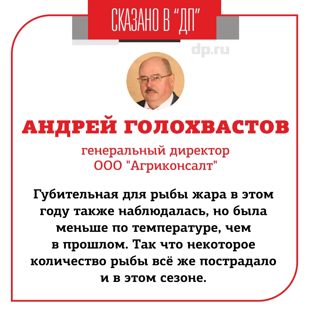 У форелевых хозяйств Карелии и Ленобласти падает рентабельность. О том, что вести дела становится вс