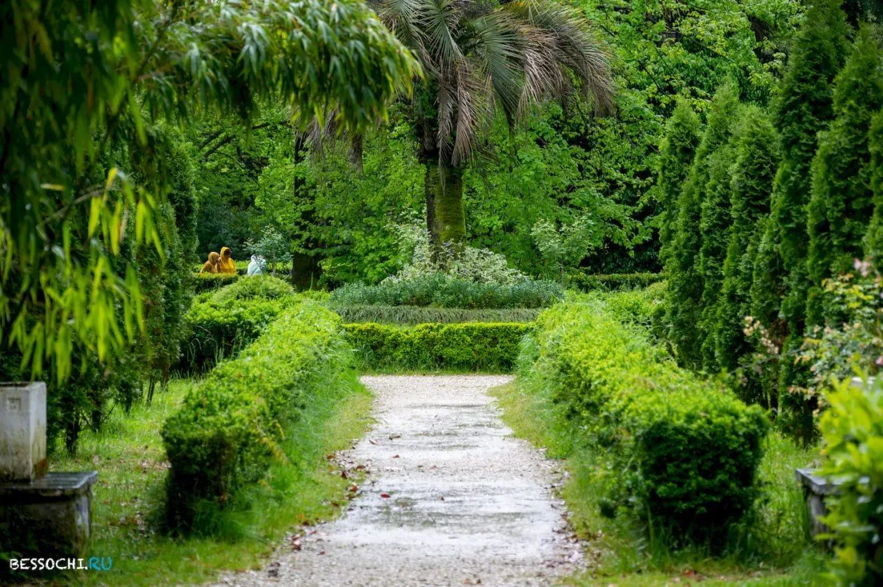 🌳 Парк культуры и отдыха «Южные Культуры», Сириус