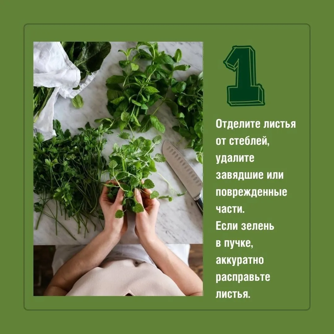 🌱 Свежая зелень  делает блюда яркими и полезными, но перед употреблением ее важно прав...