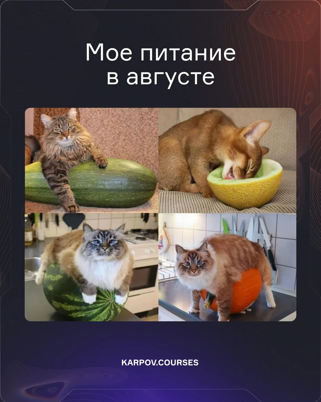 Август подкрался незаметно…