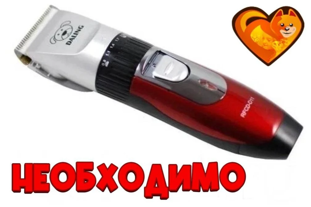 SOS! Брить лапы для капельниц нечем, а перчатки слетают с рук... Закулисье приюта, где спасают 500 ж