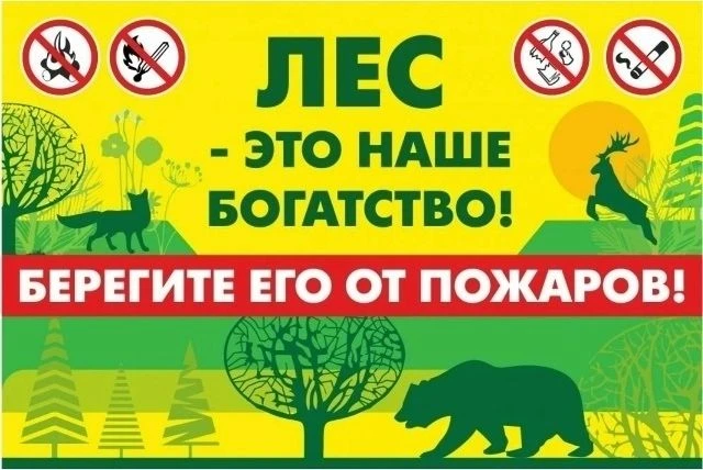 🙌На территории Кузбасса проходит профилактическая акция «Чистый лес – 🔥территория без огня». 👍Акция 