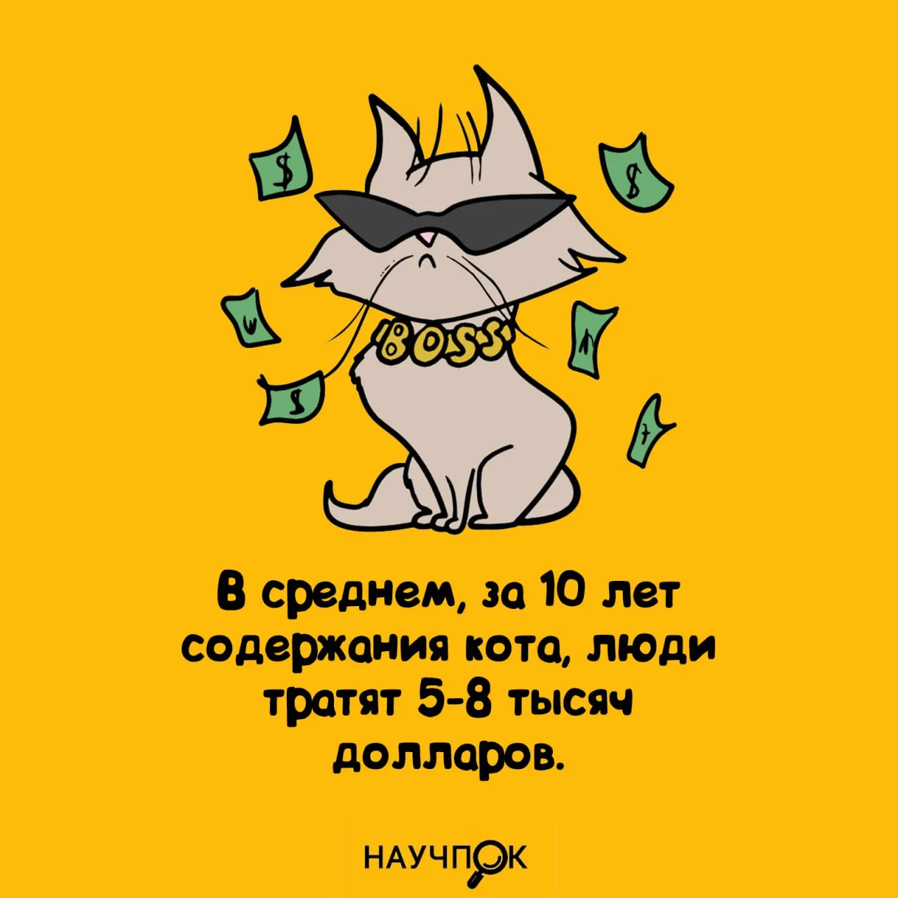 Научпок | Подписаться