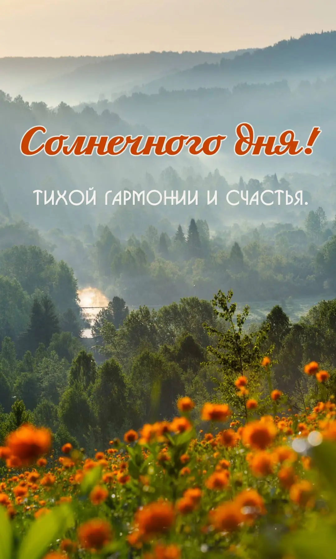 #СолнечногоДня