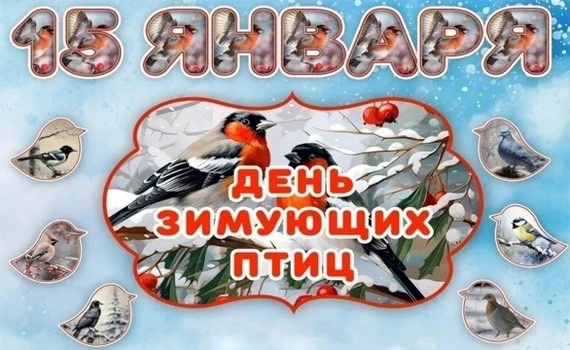 Ежегодно, 15 января, мы отмечаем всероссийский экологический праздник «День зимующих пт...