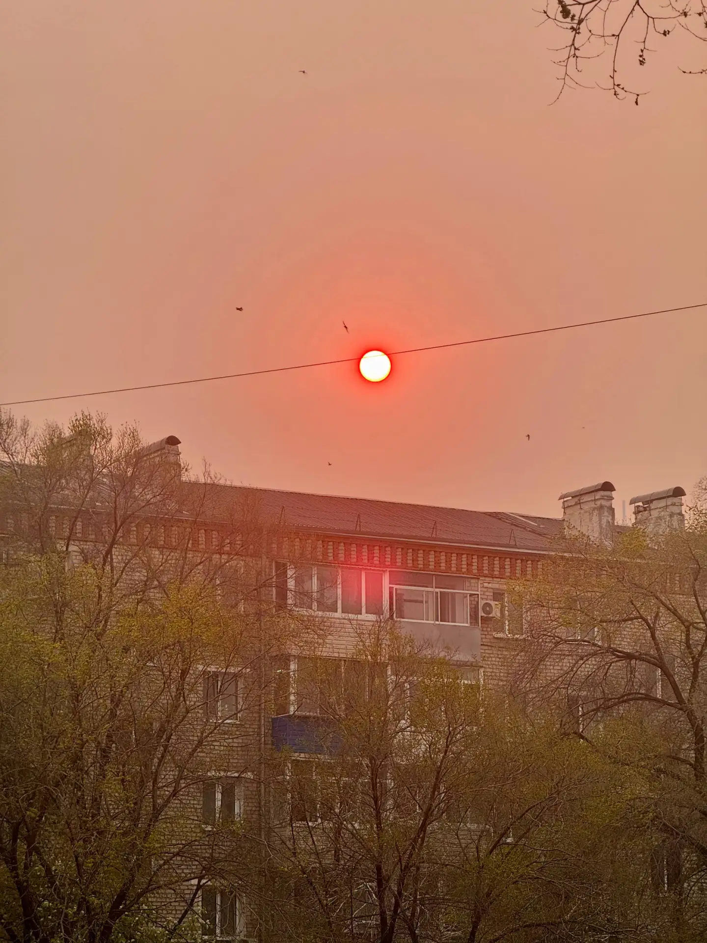 Закат над Свободным сегодня был по-настоящему бесподобен  Небо окрасилось в насыщенные красно-оранже