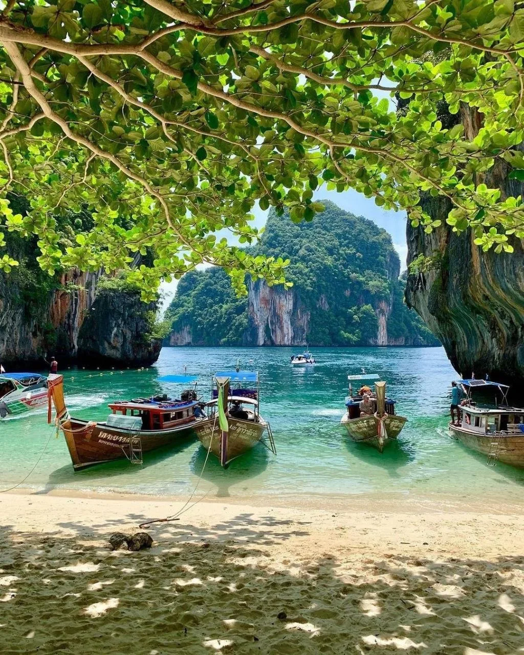 🌴РАННЕЕ БРОНИРОВАНИЕ