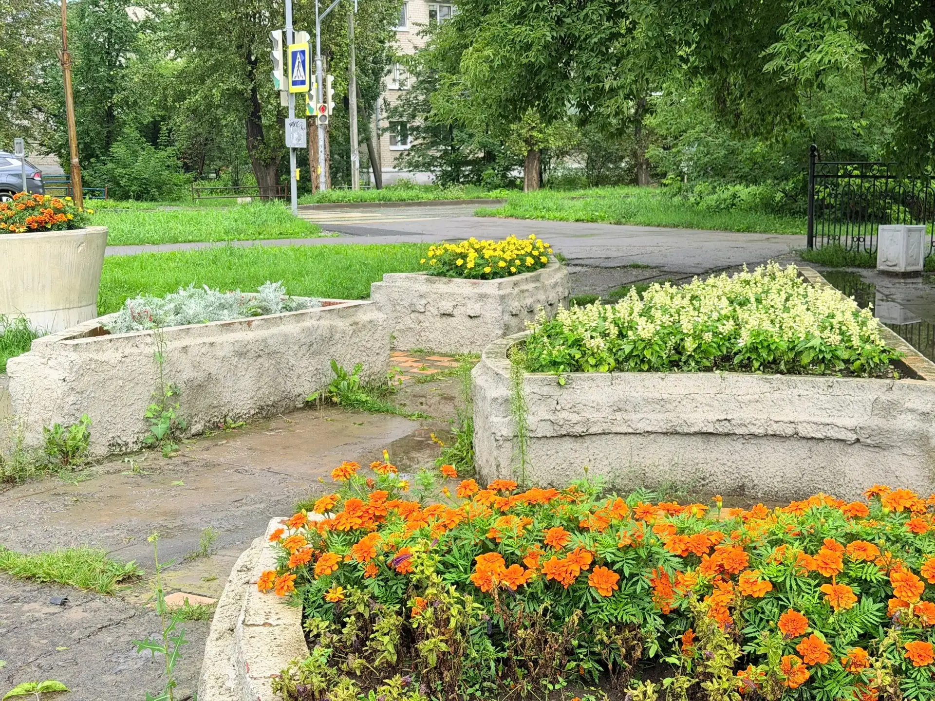 А почему все молчат какие красивые цветы в парке на Трубном у 3 школы 😍