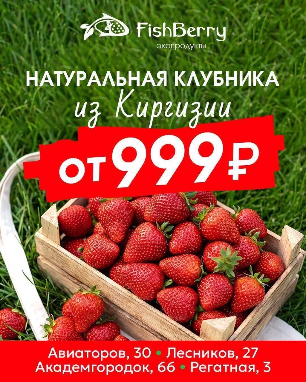 Клубника из Киргизии 🍓 Ягода сортовая крупная, ароматная, сочная, сладкая. Выращена без химии  🚚 Маш