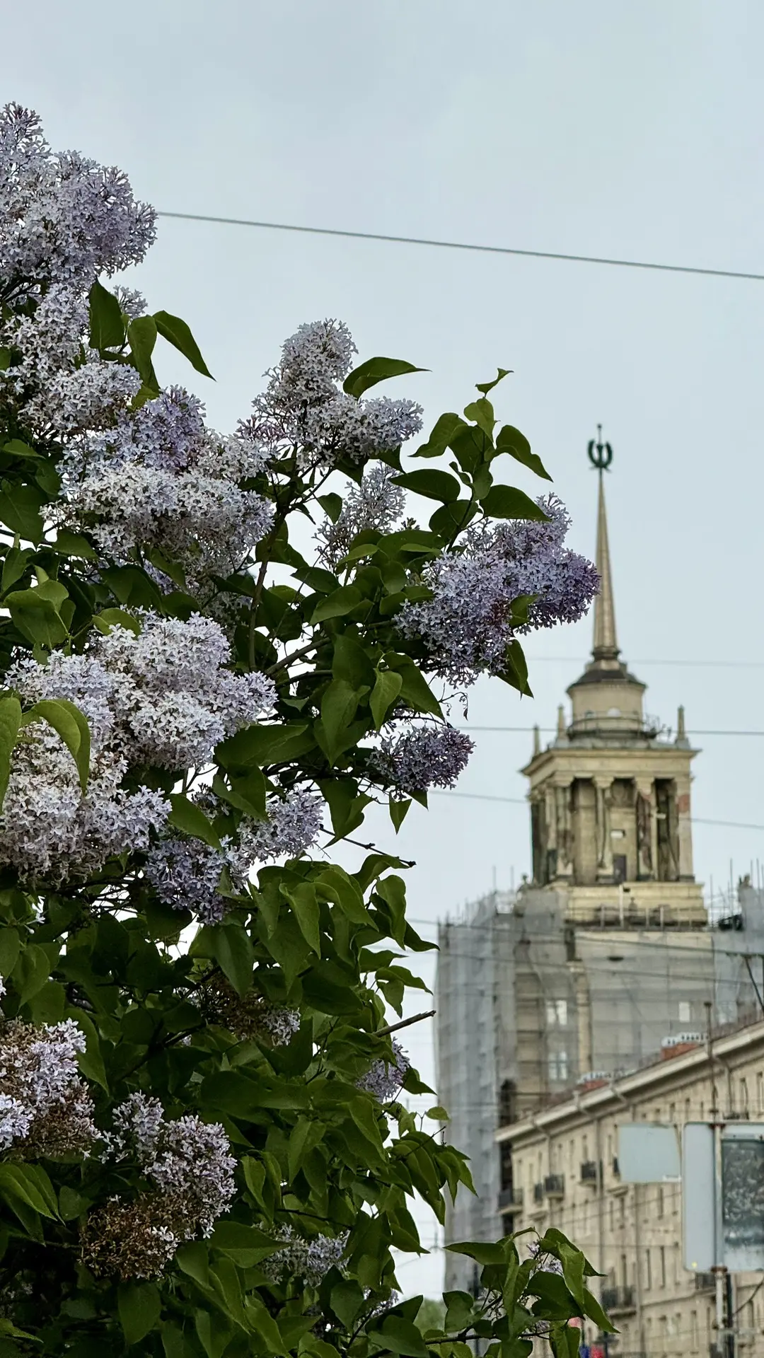 💚 С днём рождения, любимый Санкт-Петербург!