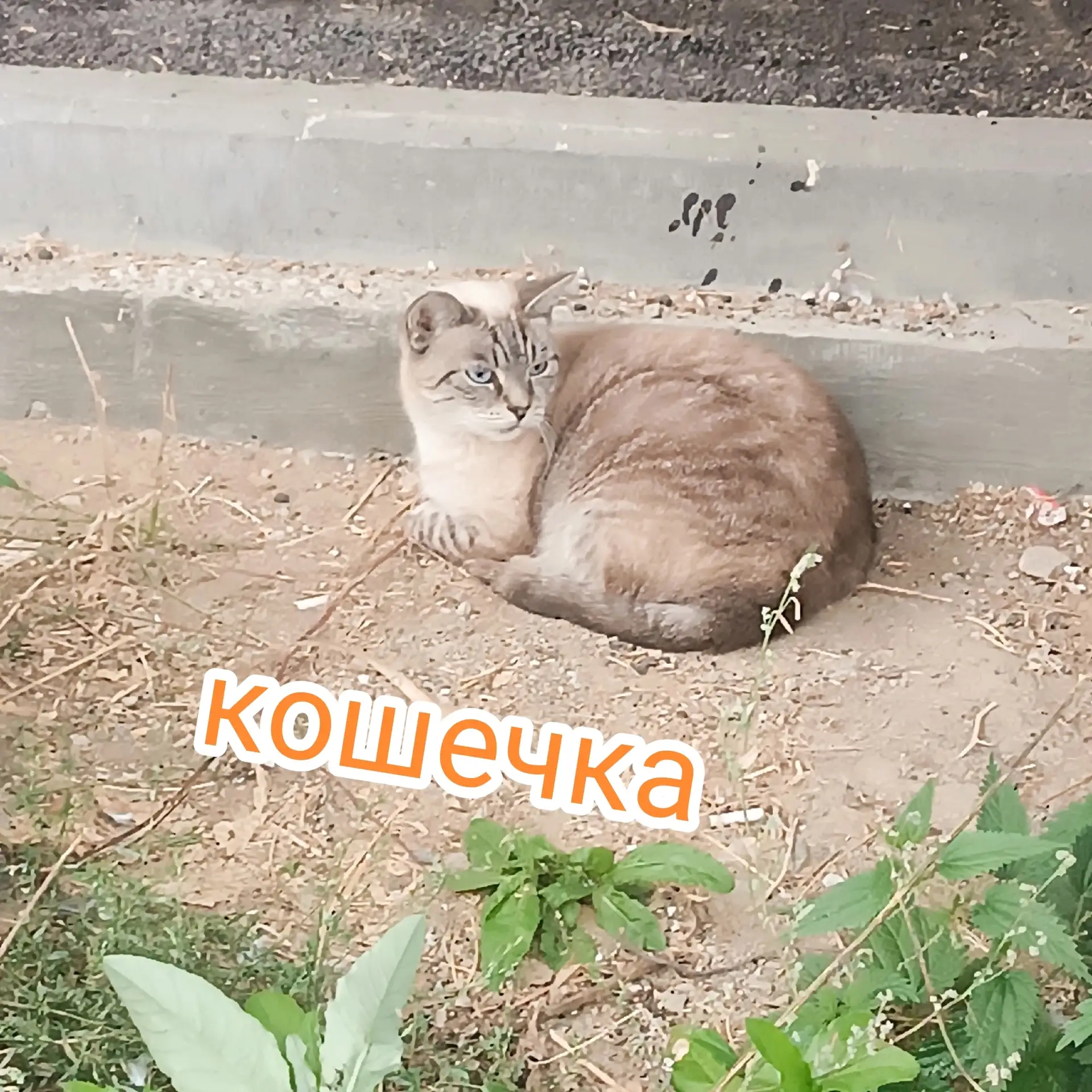 😿😿😿