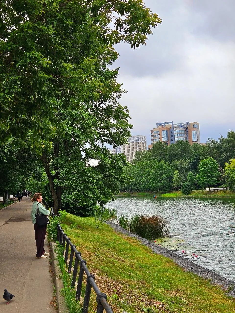 🌳 Ещё один закуток природы рядом с нами: парк у Владимирского пруда у шоссе Энтузиастов.