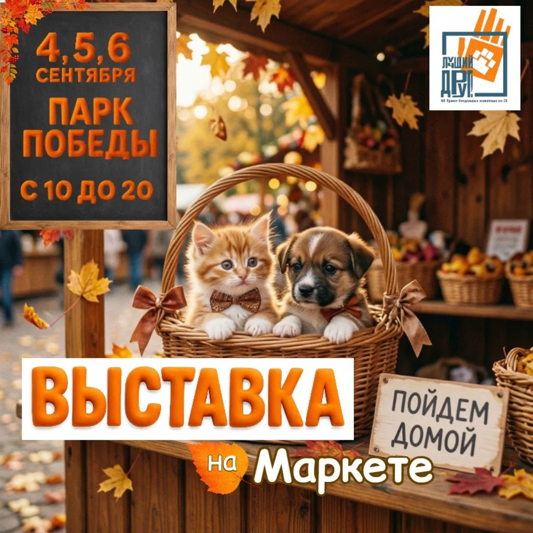 ‼️ Внимание.‼️
