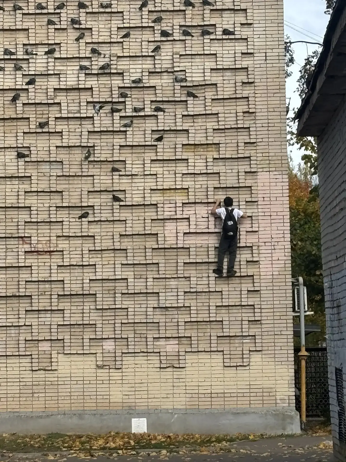 Легендарную стену Обнинска снова покоряют без страховки.