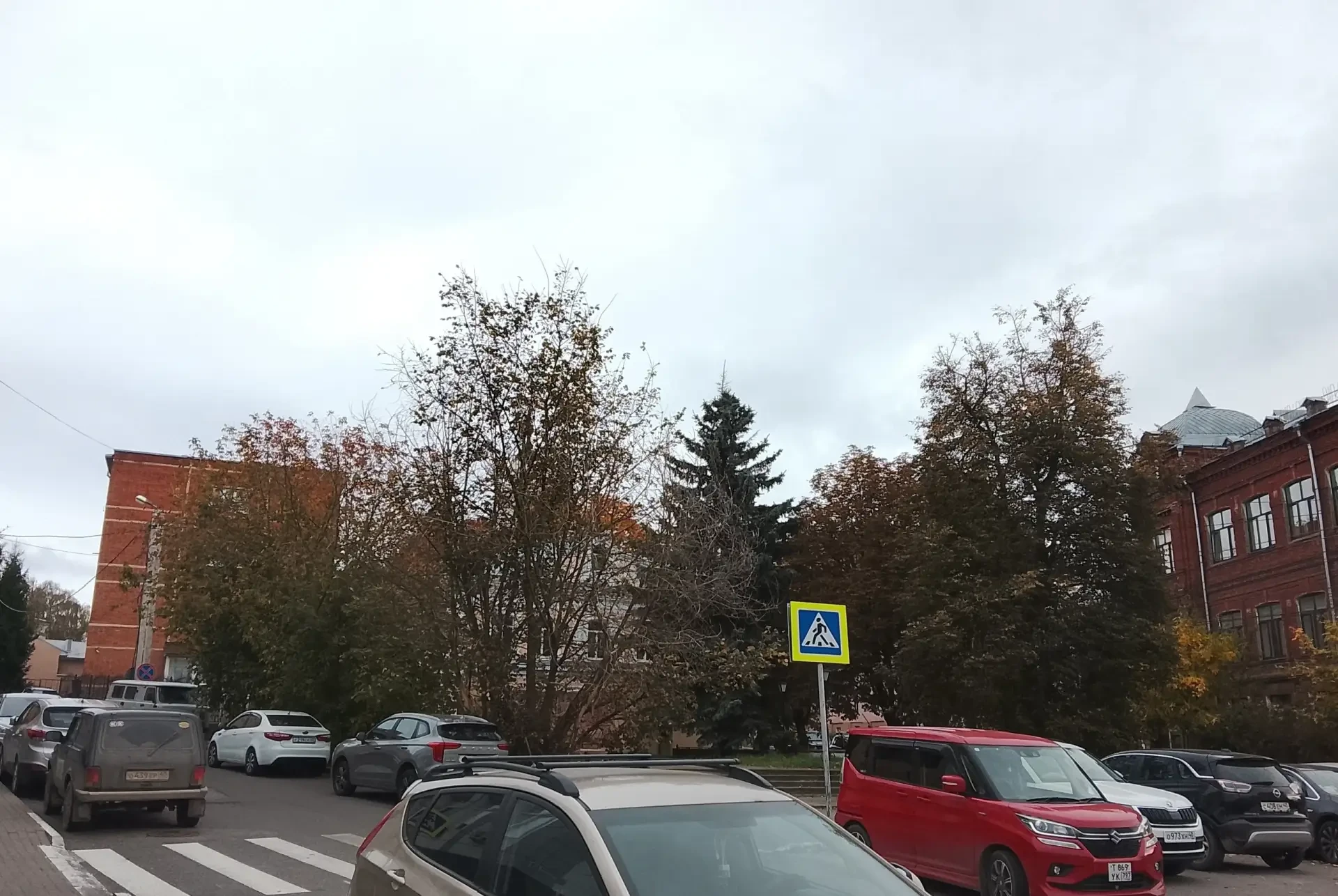 Американский клён скрыл памятник в центре Калуги