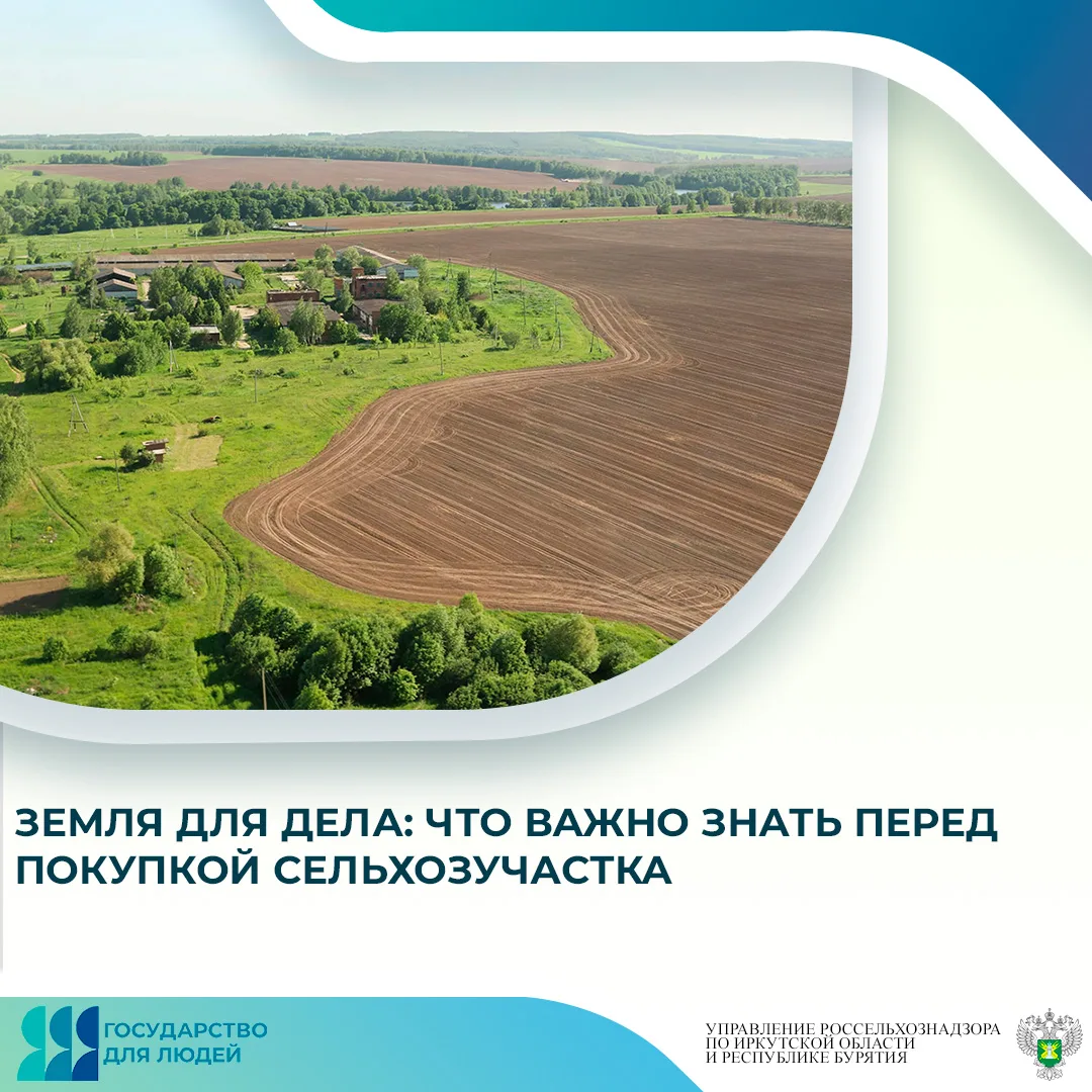 Планируя покупку земельного участка сельскохозяйственного назначения, важно заранее проверить не тол