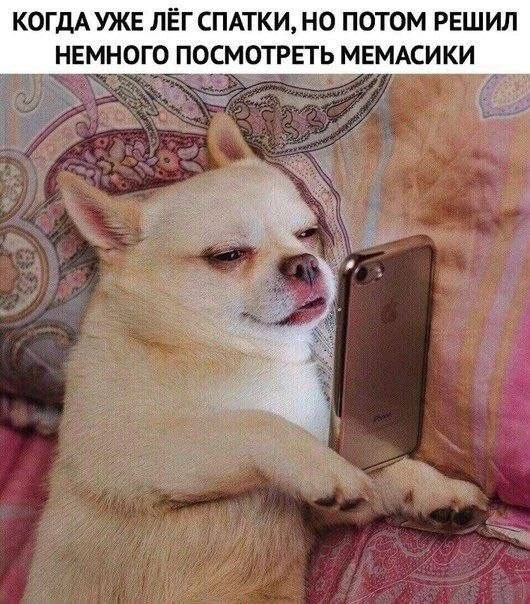 😅