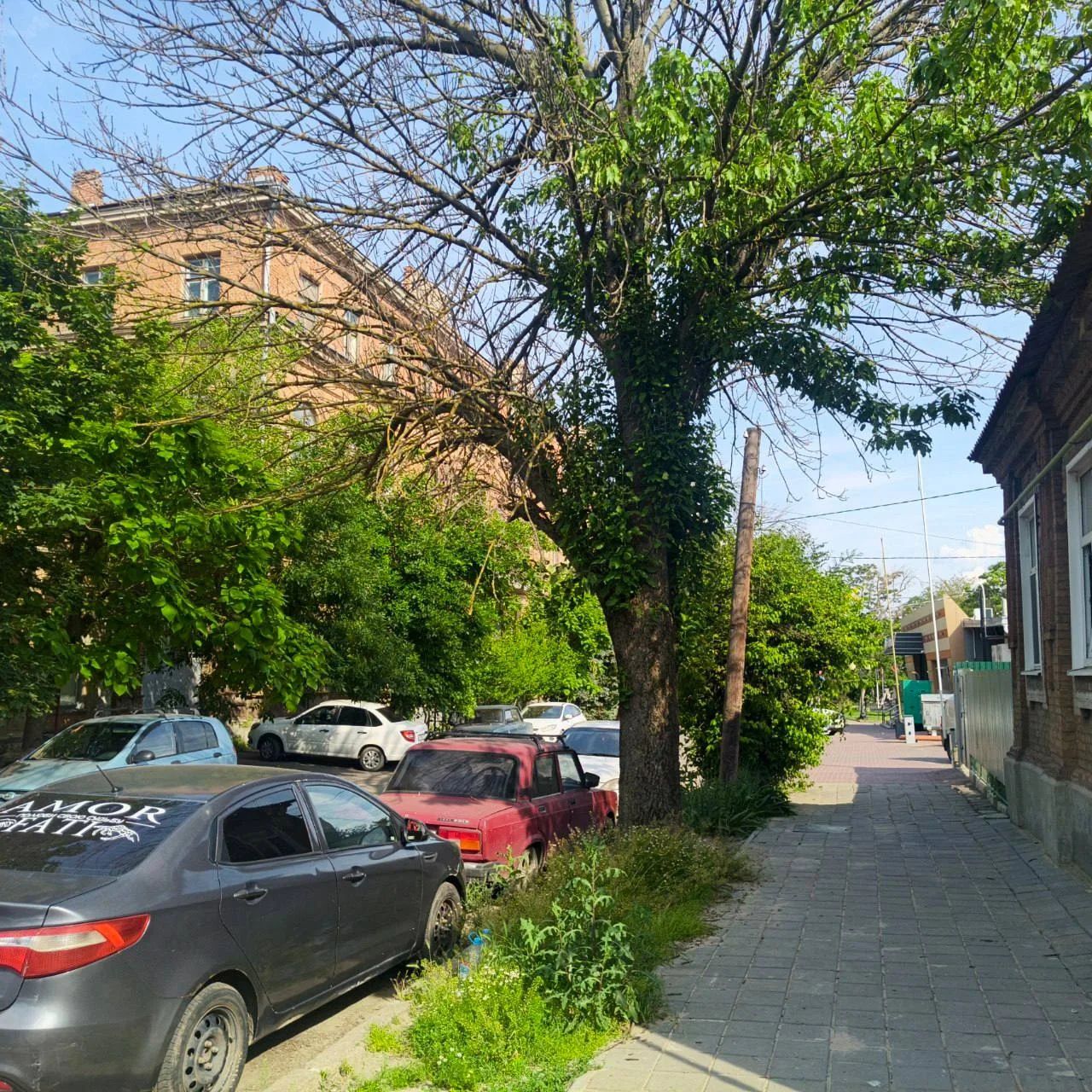 Новость для МЧС.