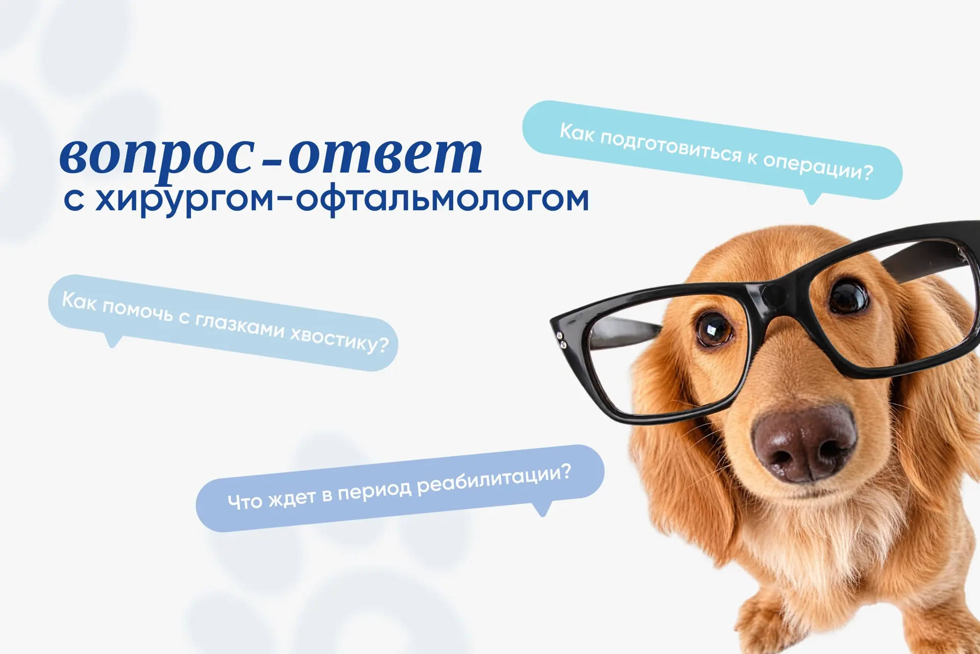 Есть вопросы по здоровью глаз питомца? Задайте их профильному специалисту