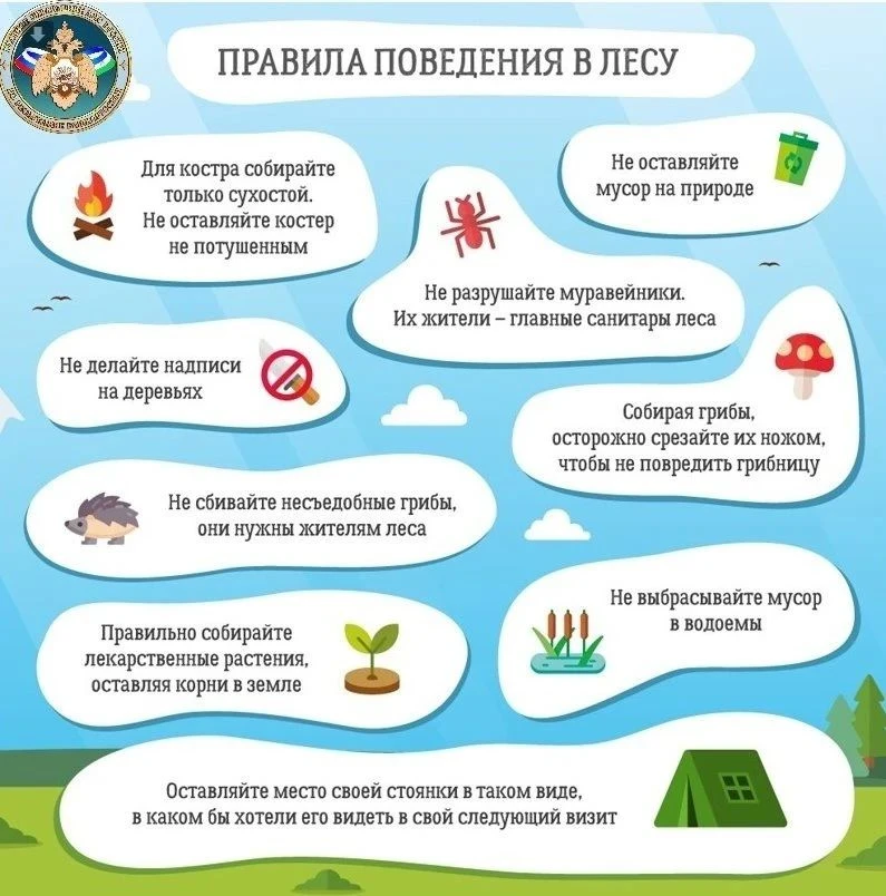 Всероссийская акция "Безопасность детства — 2026": главное о прогулках на природе!
Собираемся на при