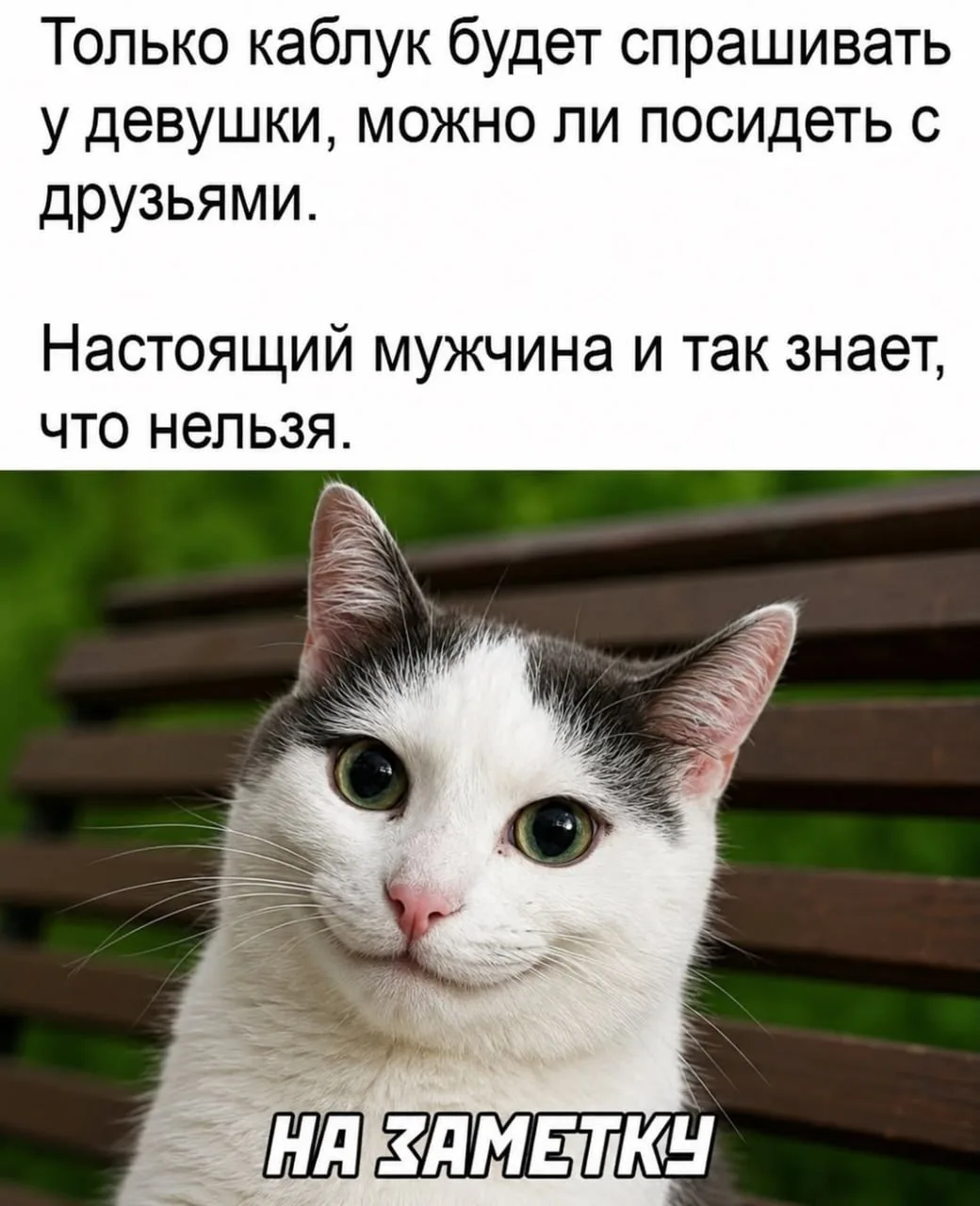 Ежик