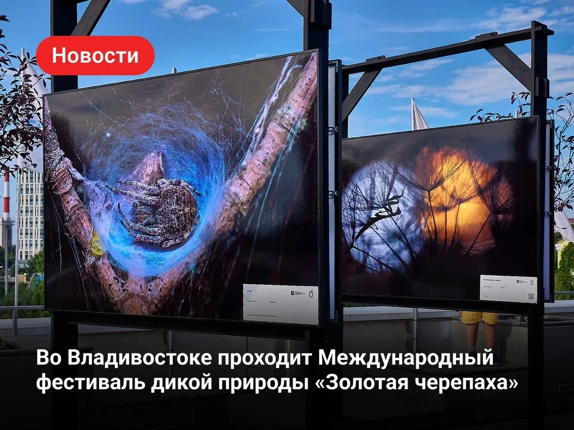 До 30 сентября во Владивостоке при поддержке Президентского фонда природы проходит Международный фес