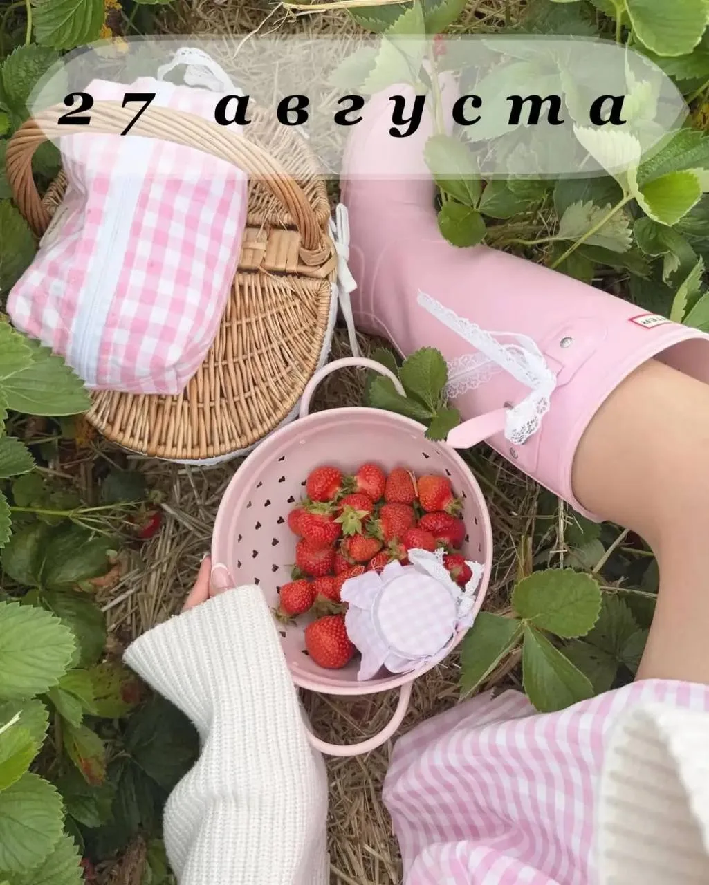 🛍️🛍️🛍️🛍️🛍️
