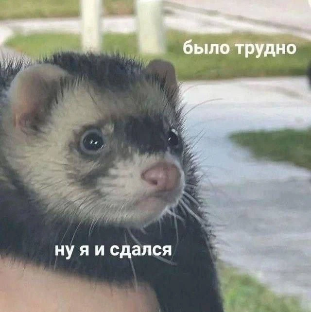 «Было трудно... ну я и сдался» 😁