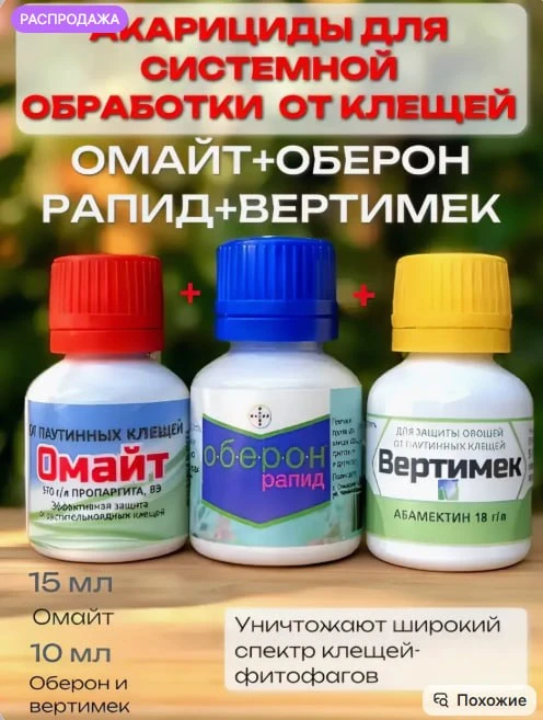 Три богатыря😅