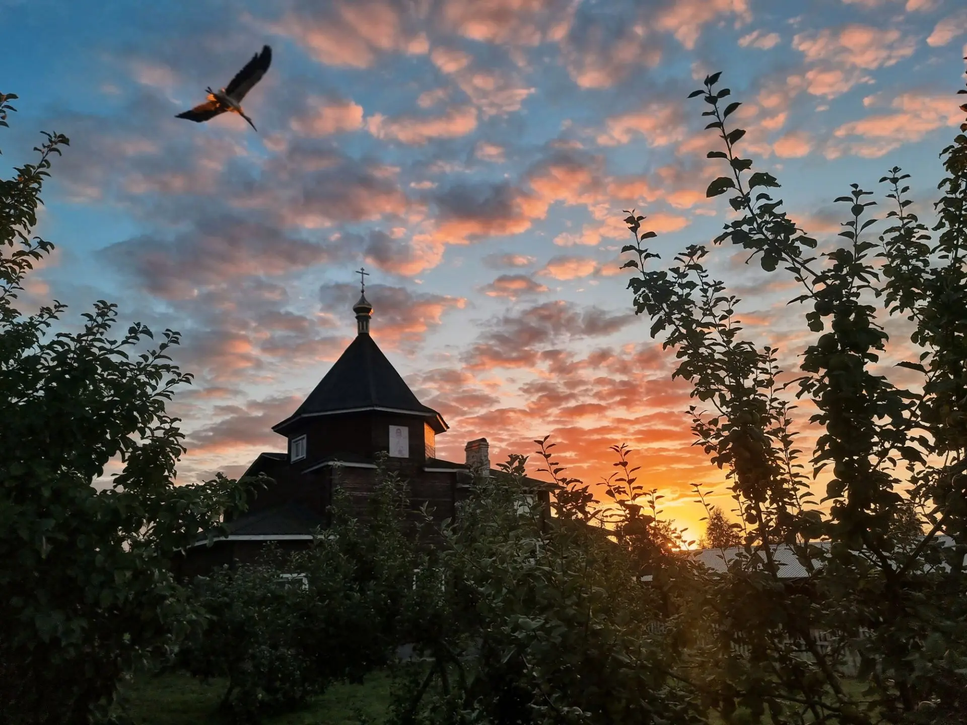 Встречаем осень🍂