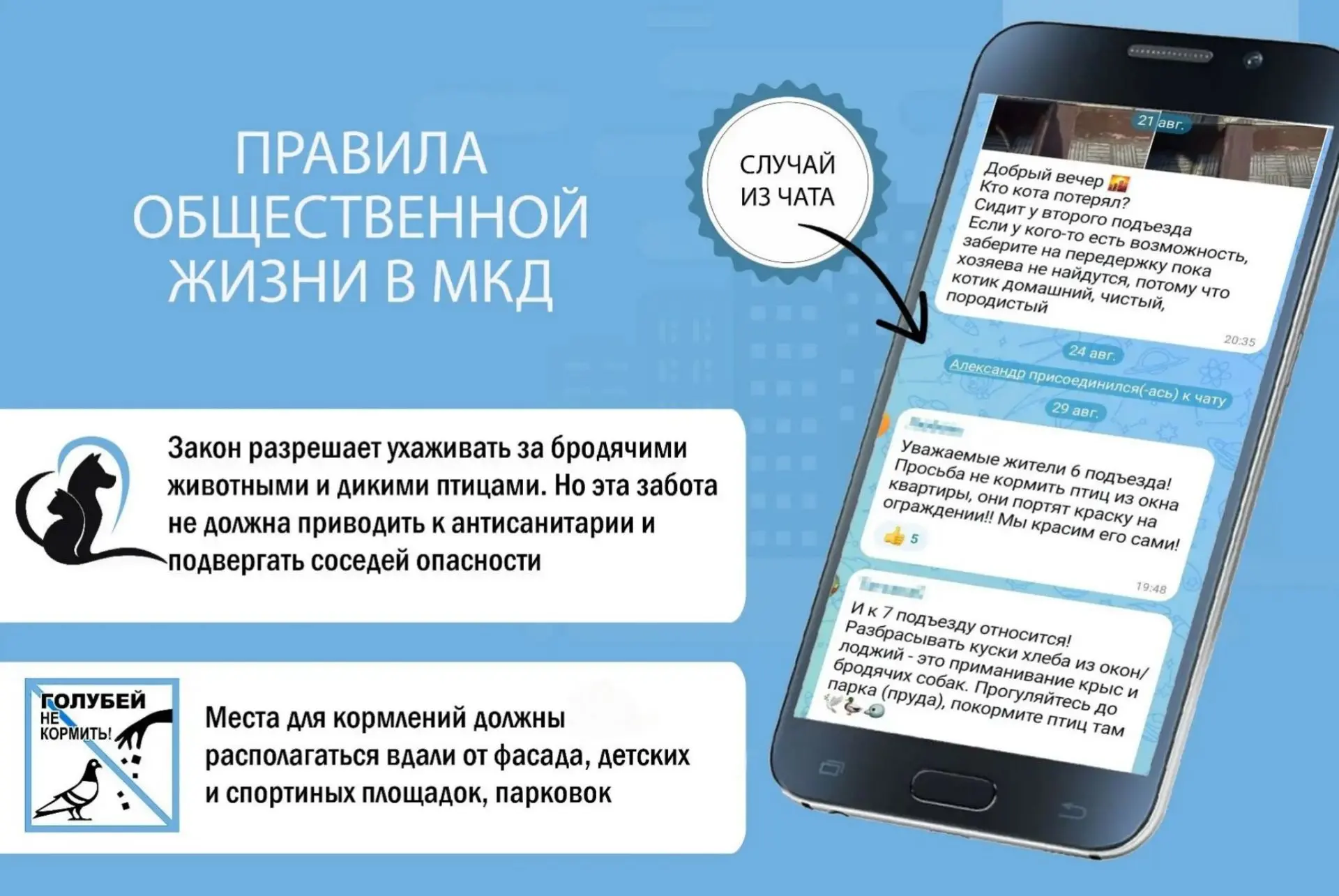 Один голубь - это удача, два - это любовь, а три - это грязные окна в доме…