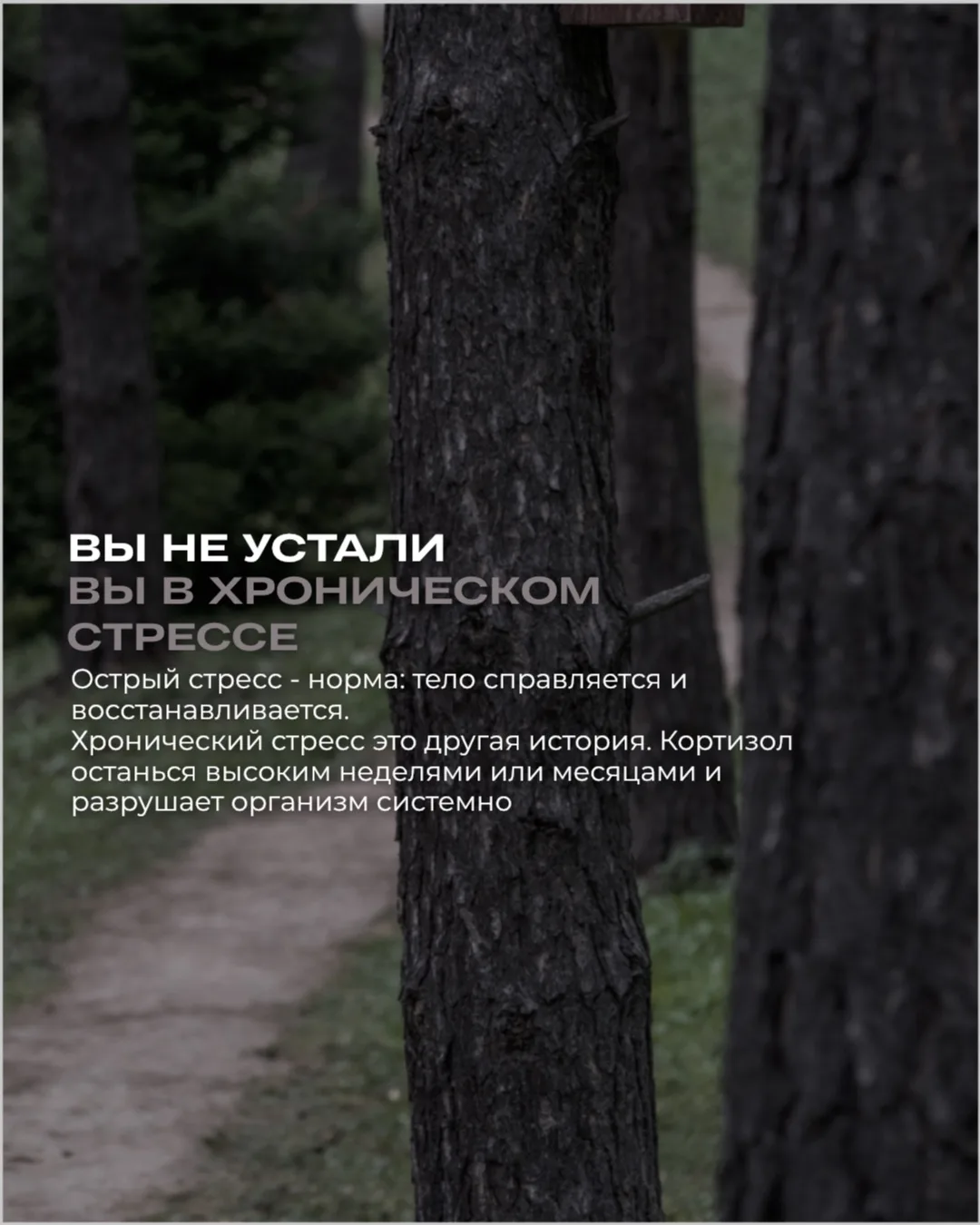 «Я просто устала» — фраза, за которой часто скрывается кое-что серьёзнее.

Острый стресс проходит. Х